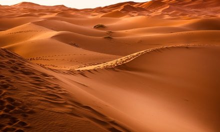 Genesis Quote: Forever Caught in Desert Lands