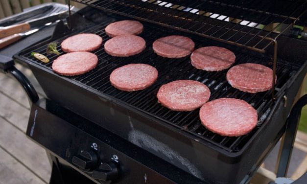2″x2″ Vegetarian Section Granted On Backyard Grill